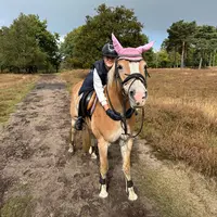 equi_silviee