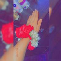TikTok Account - fatimach583