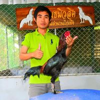 sumet.music.farm