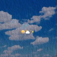emoji1177