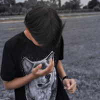 oysft