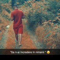 ionut.tarabuta5