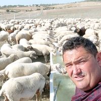 montero_ganaderia