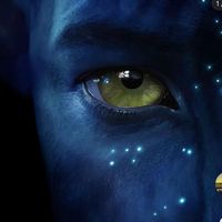 avatar123658
