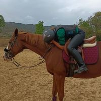 maria_caballos_edit