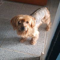 lasirenitasanmateo7