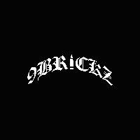 9brickz