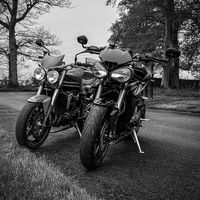 taysidetriumph
