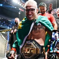 dbronx.mma
