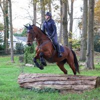 lonneke.horses