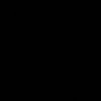 alina.pov3