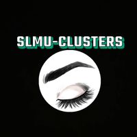 slmuclusters