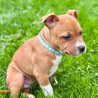 vany.staffie.76