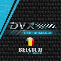 dvx_performance_b