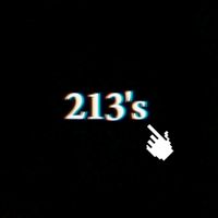 213s_bobakar
