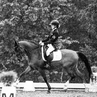 ni.dressage