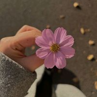 lily.krissi.bloom