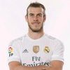 bale_core11