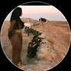 sultana_0004