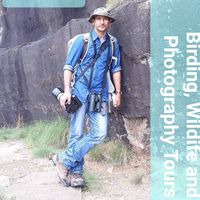 himalayanbirder