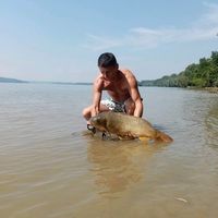 cristescu19