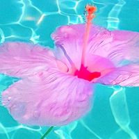 aestheticthings780