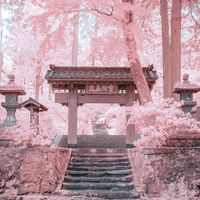 anime_kpop049