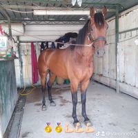 varenne00
