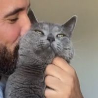 fripylafripouille