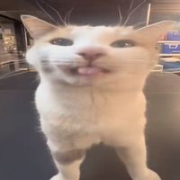 radomcontent03