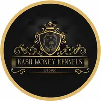 kashmoney.kennels