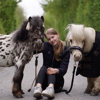 ponyjungsss