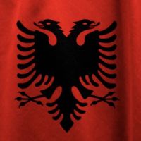 albo__03_