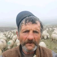 sorin.panaghia
