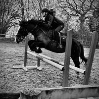 saff_eq