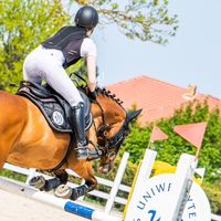 lkxshowjumping