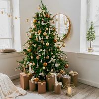 christmas11402