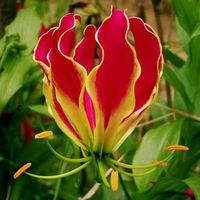 TikTok Account - https://p16-pu-ie.tiktokcdn-eu.com/tos-useast2a-avt-0068-euttp/1f80f98a55490eedac4a593206c45784~tplv-tiktokx-cropcenter:200:200.jpeg