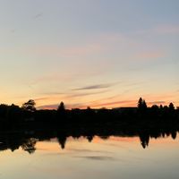 kastikasti08