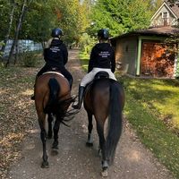 equestrianxofficial
