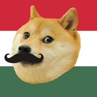 magyar_memek_es_viccek