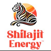 shahidanwarshilajitenrgy