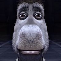 TikTok Account Photo