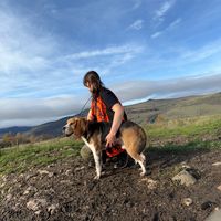 __futur_peintre_du_15__