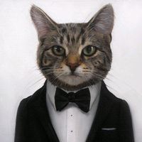 dj.catblack