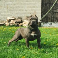 my.friend.forever2020