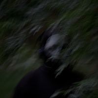 sxshi.trxsh