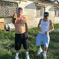 shark_peso