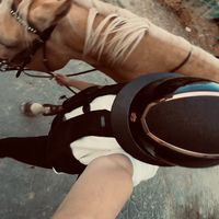 TikTok Account - https://p16-pu-ie.tiktokcdn-eu.com/tos-useast2a-avt-0068-euttp/2f47e97838ede8b2a05e5a31375137c7~tplv-tiktokx-cropcenter:200:200.jpeg