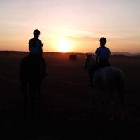 equestrian.friends_